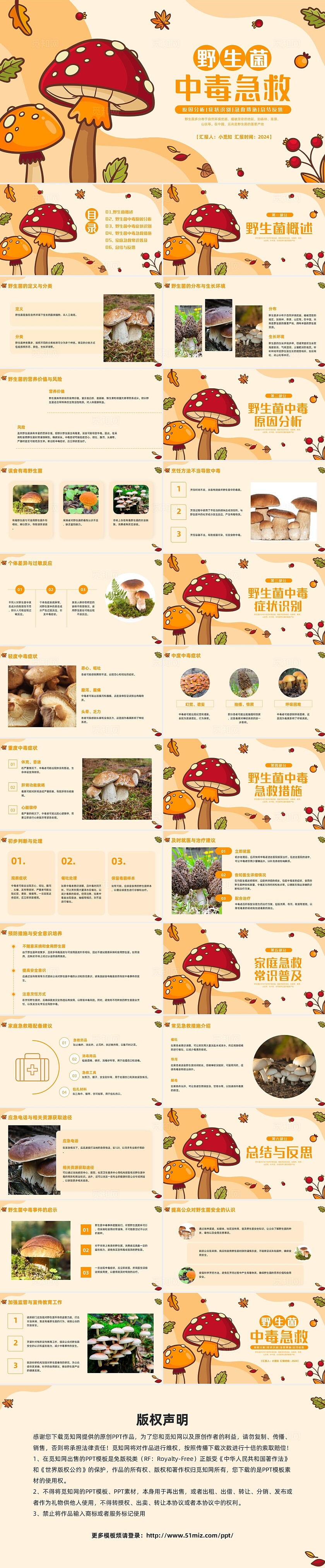 橙色插画实拍野生菌中毒急救PPT模板宣传PPT动态PPT