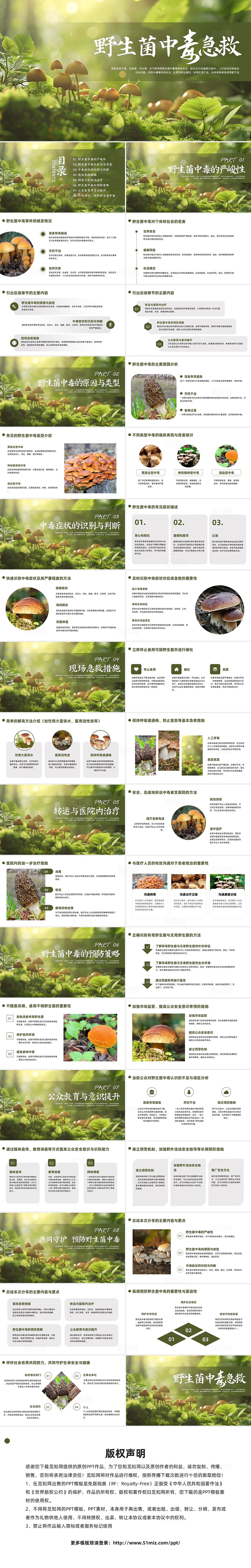 绿色简约实拍野生菌中毒急救PPT模板宣传PPT动态PPT