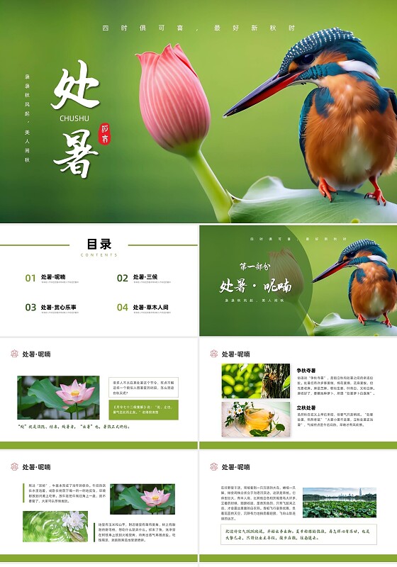 绿色实拍二十四节气处暑ppt课件