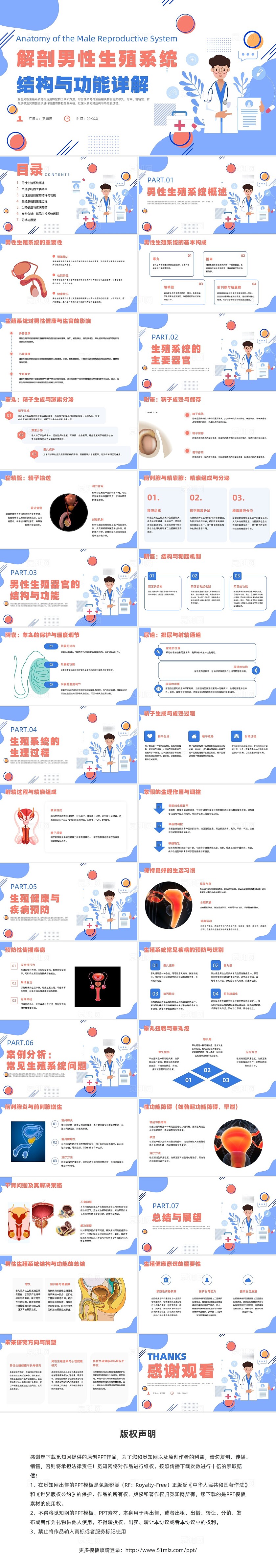 紫色插画风解剖男性生殖系统培训课件男性教育