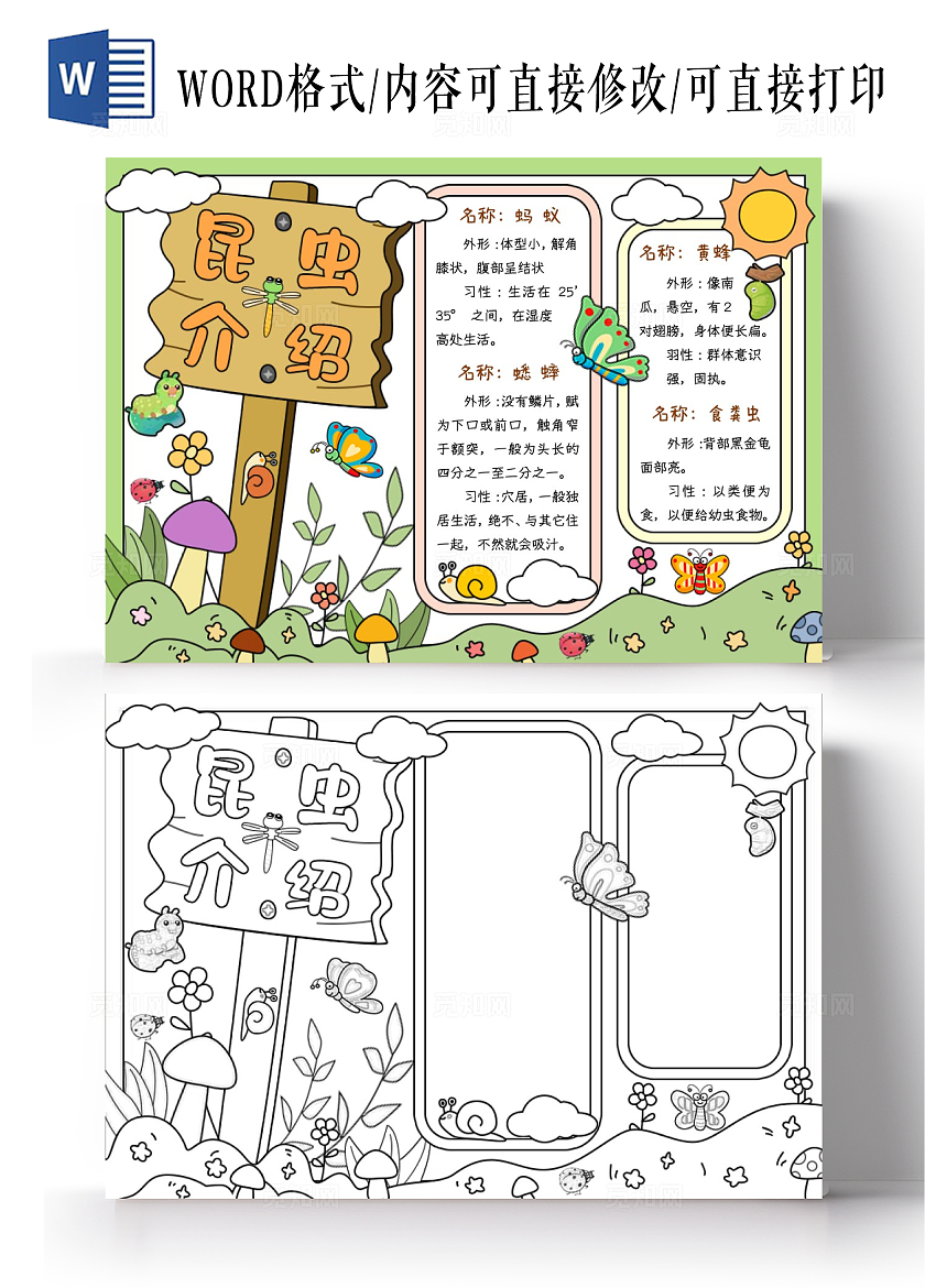 黄绿色卡通手绘昆虫介绍小报手抄报昆虫
