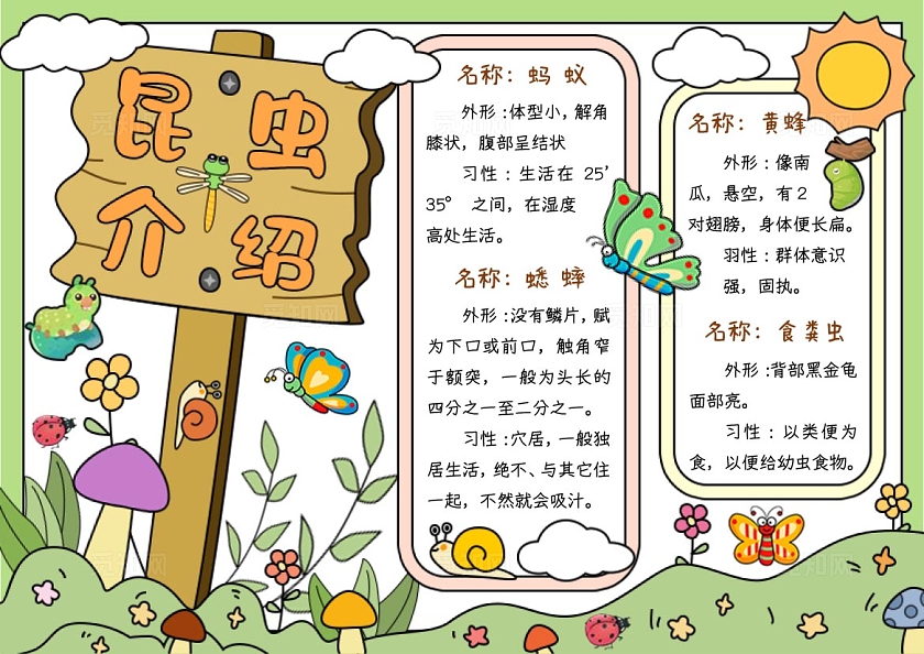 黄绿色卡通手绘昆虫介绍小报手抄报昆虫