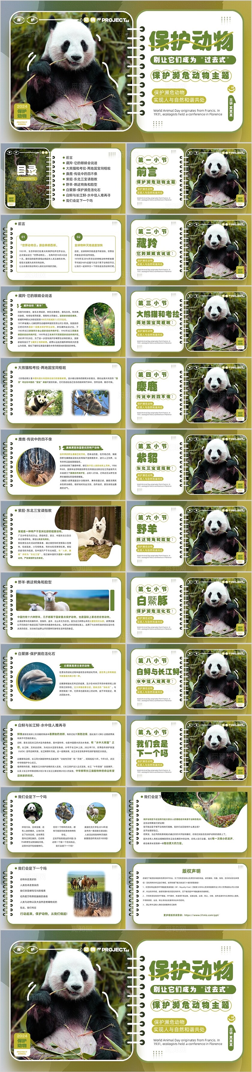 绿色实拍风保护濒危动物PPT模板世界动物日