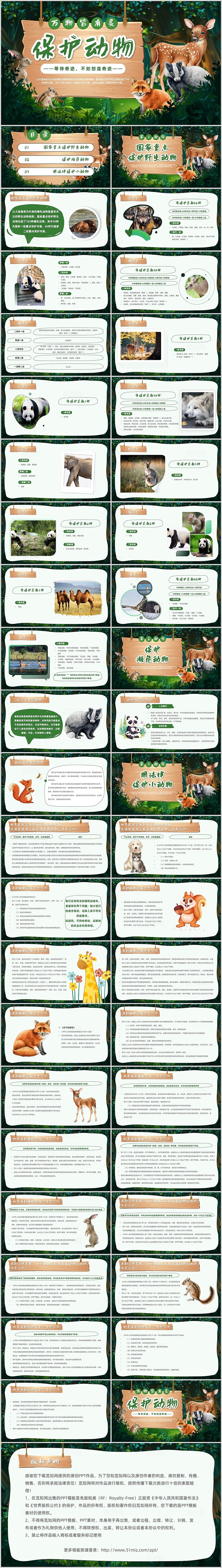 卡通保护动物创意木板万物皆有灵森林保护濒危动物世界动物日