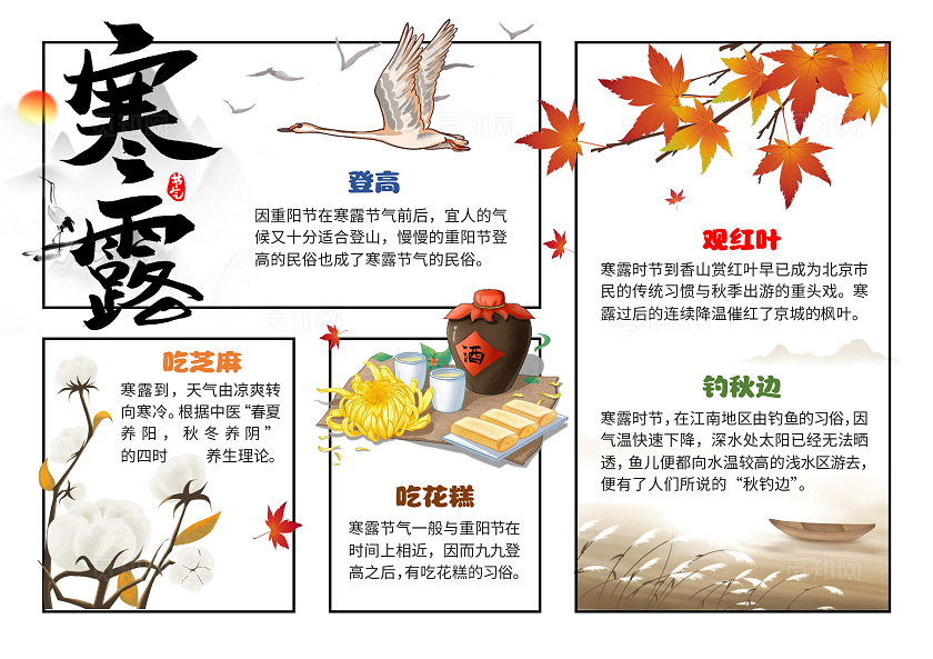黄色简约手绘插画寒露小报手抄报二十四节气