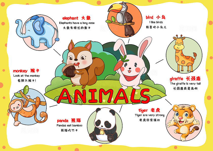 黄色手绘卡通动物英语手绘小报手抄报小学生手抄报世界动物日