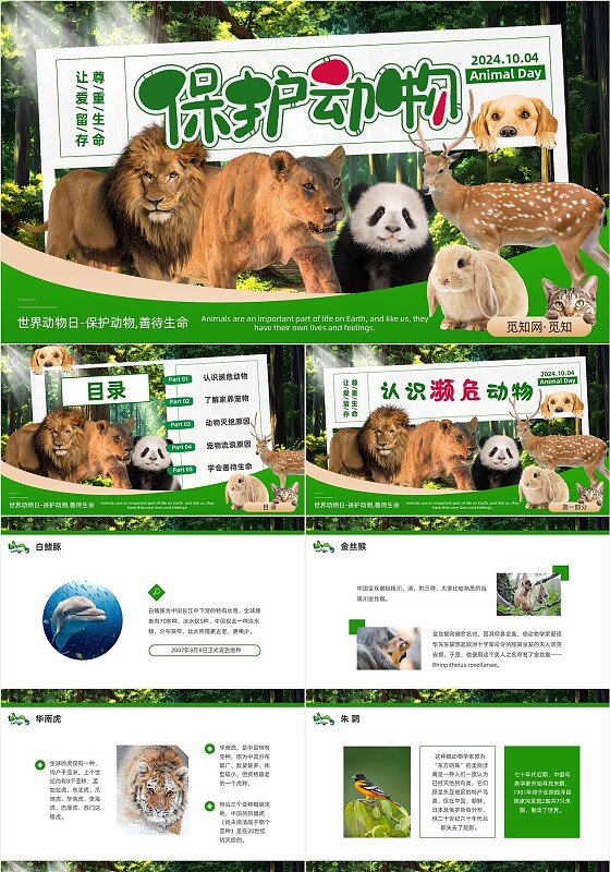 绿色实拍创意卡片保护动物科普世界动物日ppt模板
