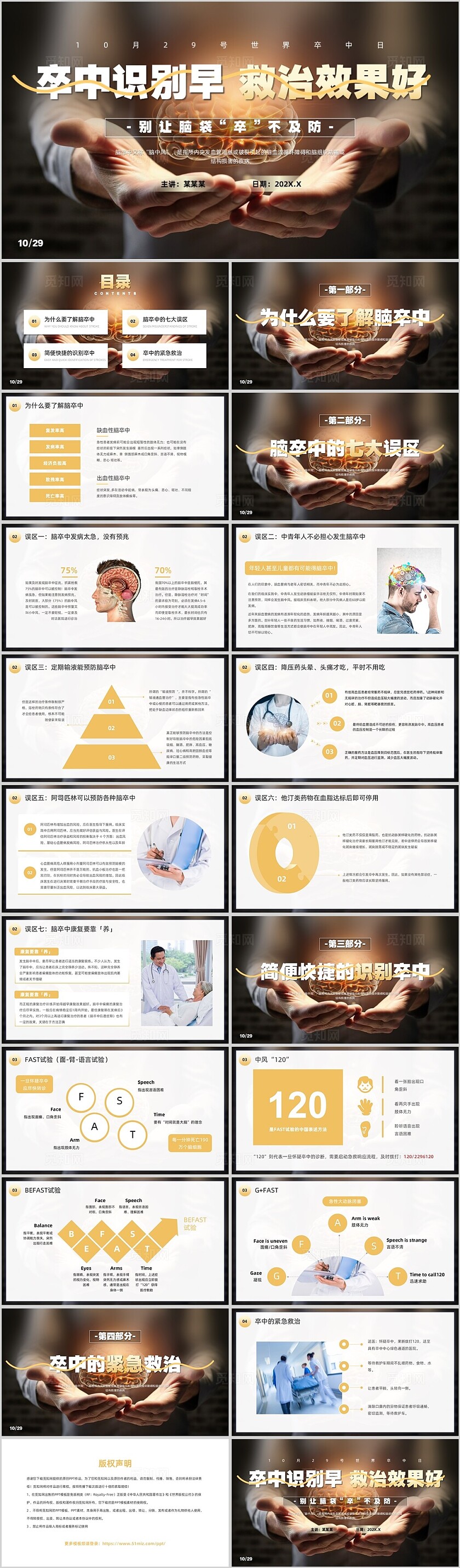 棕色实拍风世界卒中日PPT模板