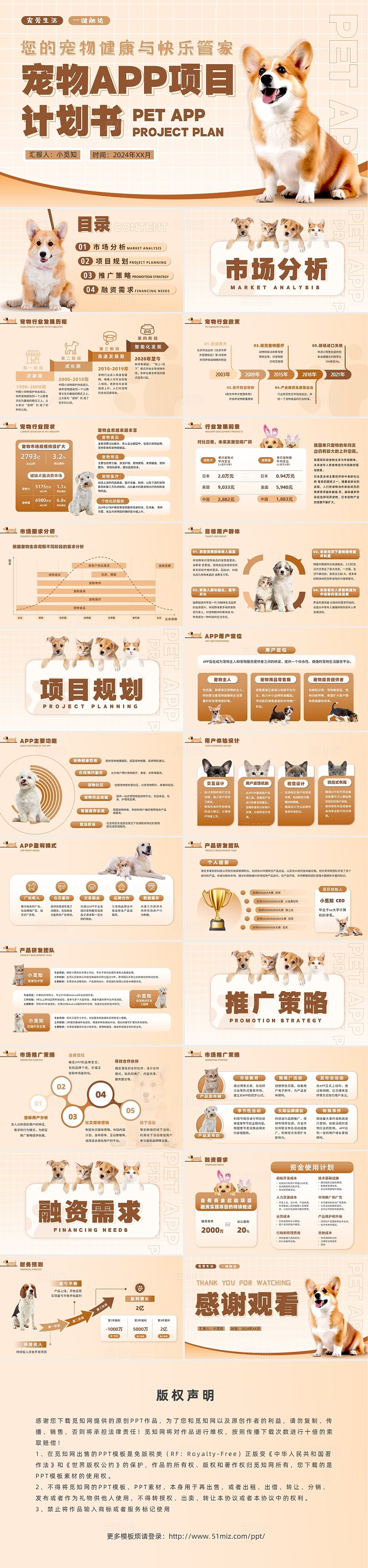 黄色实拍风宠物行业商业计划书ppt模板