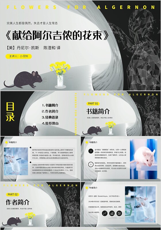 灰色简约风献给阿尔吉侬的花束宣传介绍教育课件PPT模板读书分享