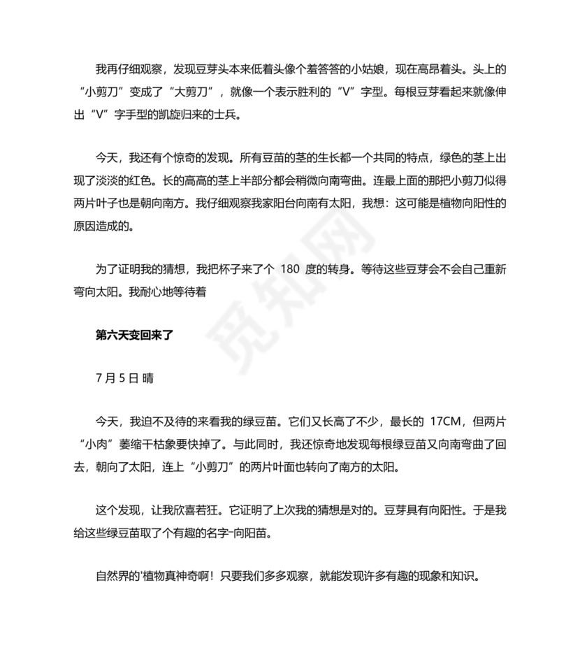 观察绿豆芽的生长过程日记