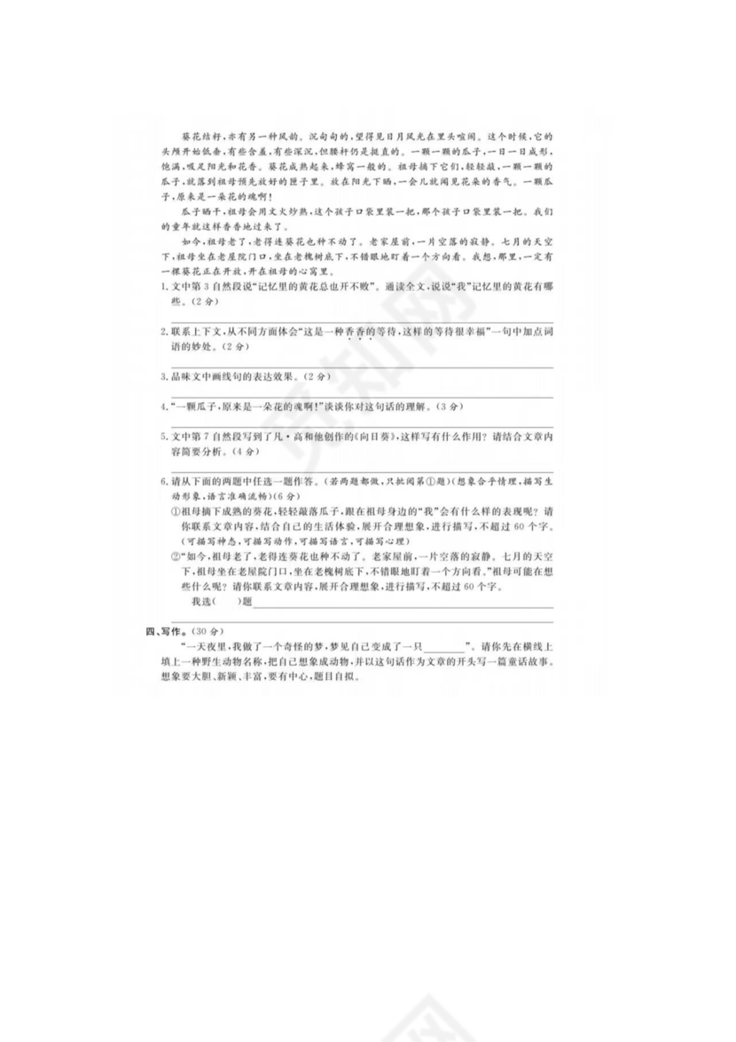 泸州市小升初试卷