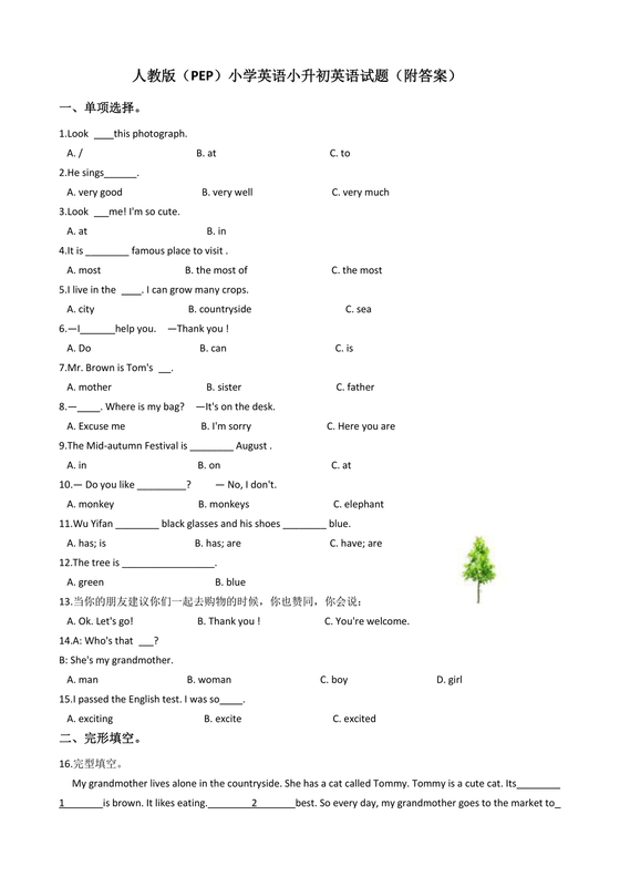 pep版英语小升初试卷及答案