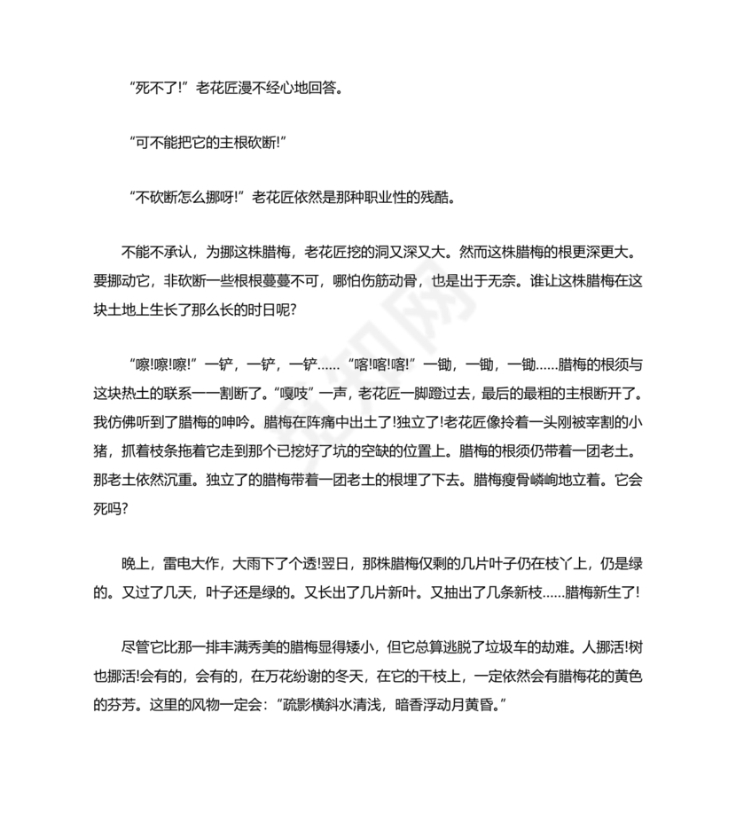 成都小升初分班语文考试