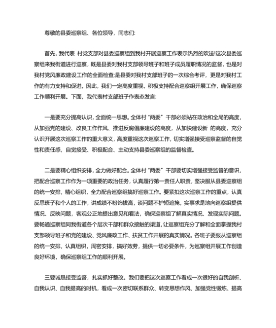 巡察动员会村书记表态发言