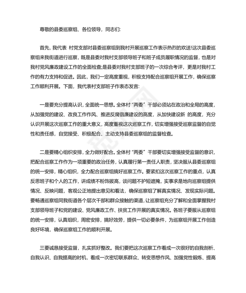 巡察动员会村书记表态发言