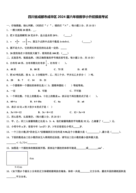 成都市成华区小升初试卷
