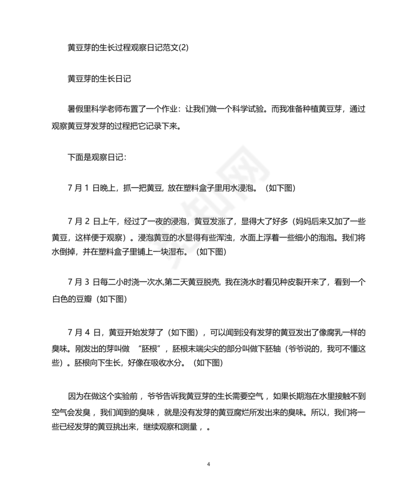 豆芽的生长过程观察日记