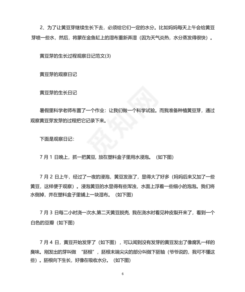 豆芽的生长过程观察日记
