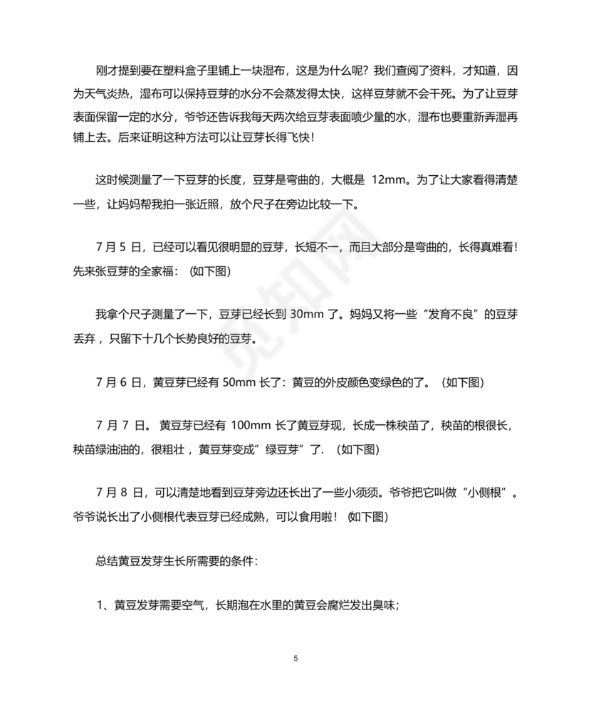 豆芽的生长过程观察日记