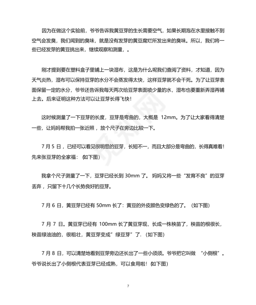 豆芽的生长过程观察日记