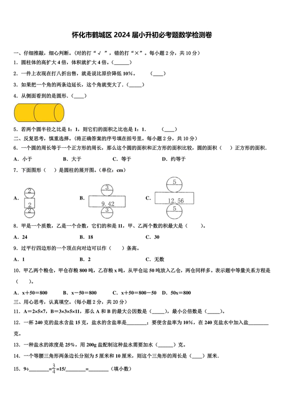 怀化金时中学小升初考试试题