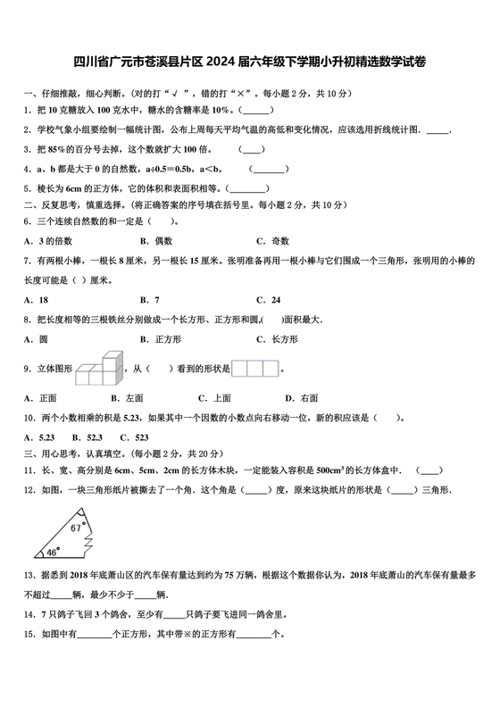 苍溪小升初数学试卷
