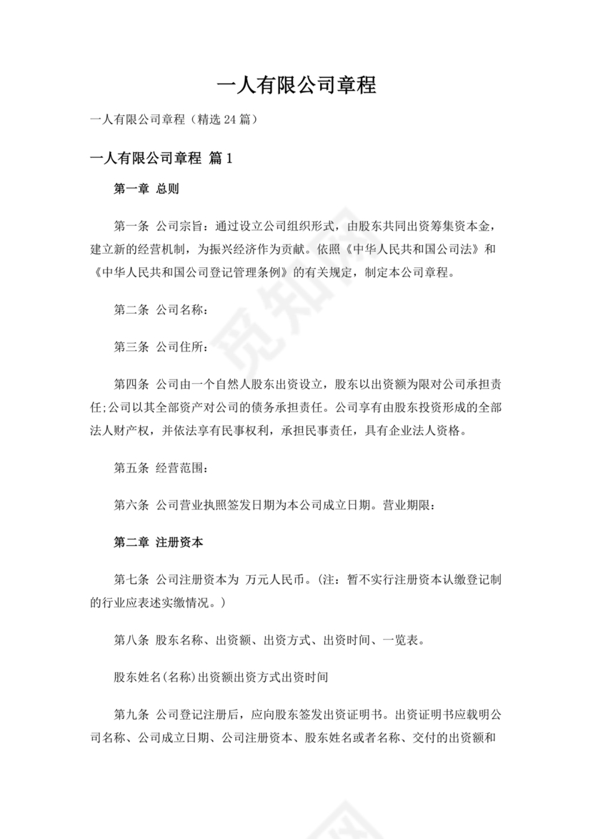 一人有限公司章程