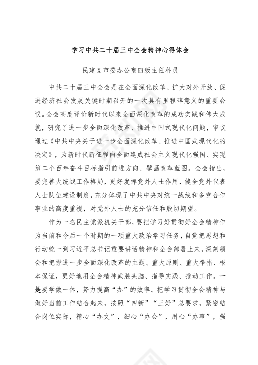 二十届三中全会讲稿