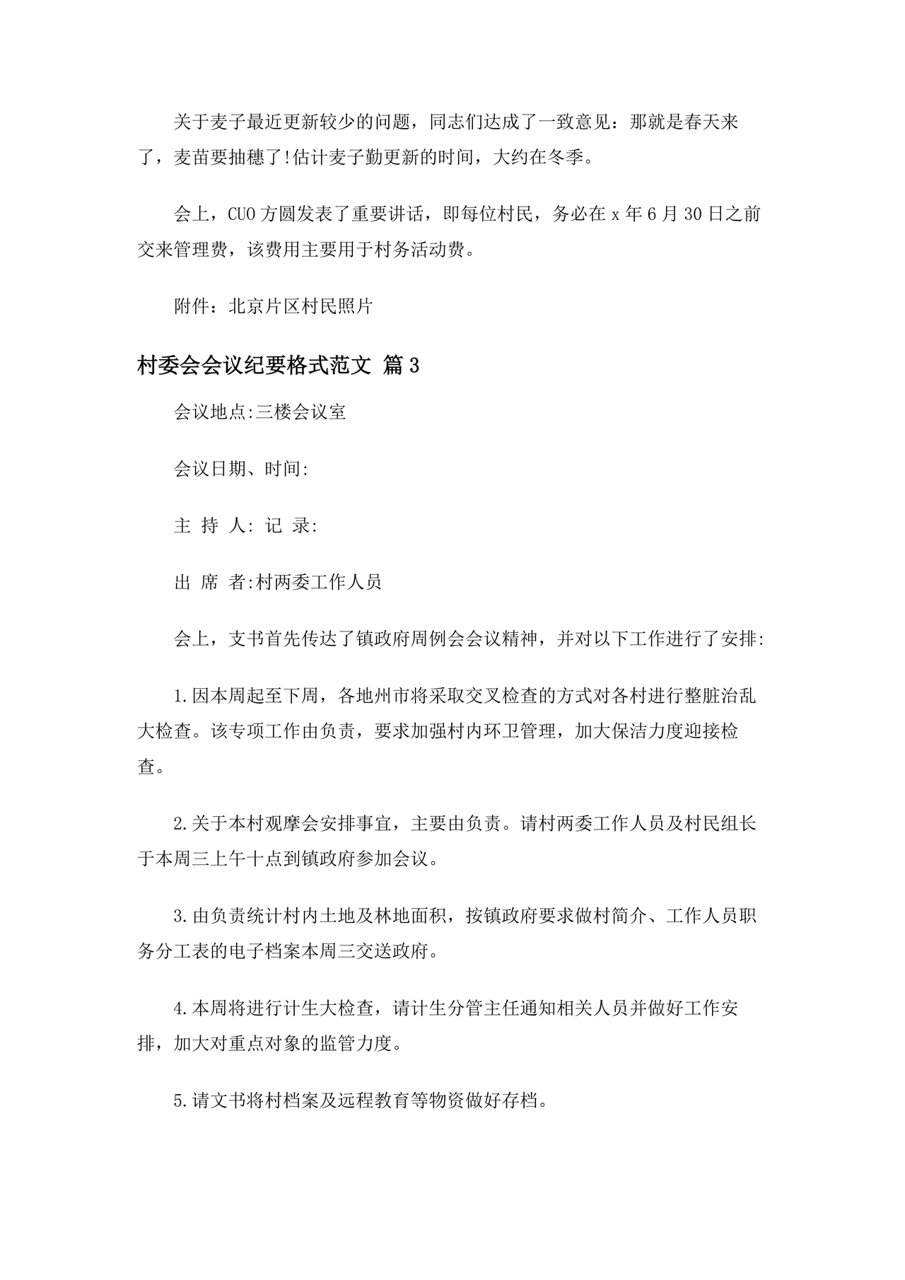 村委会议纪要范文及格式