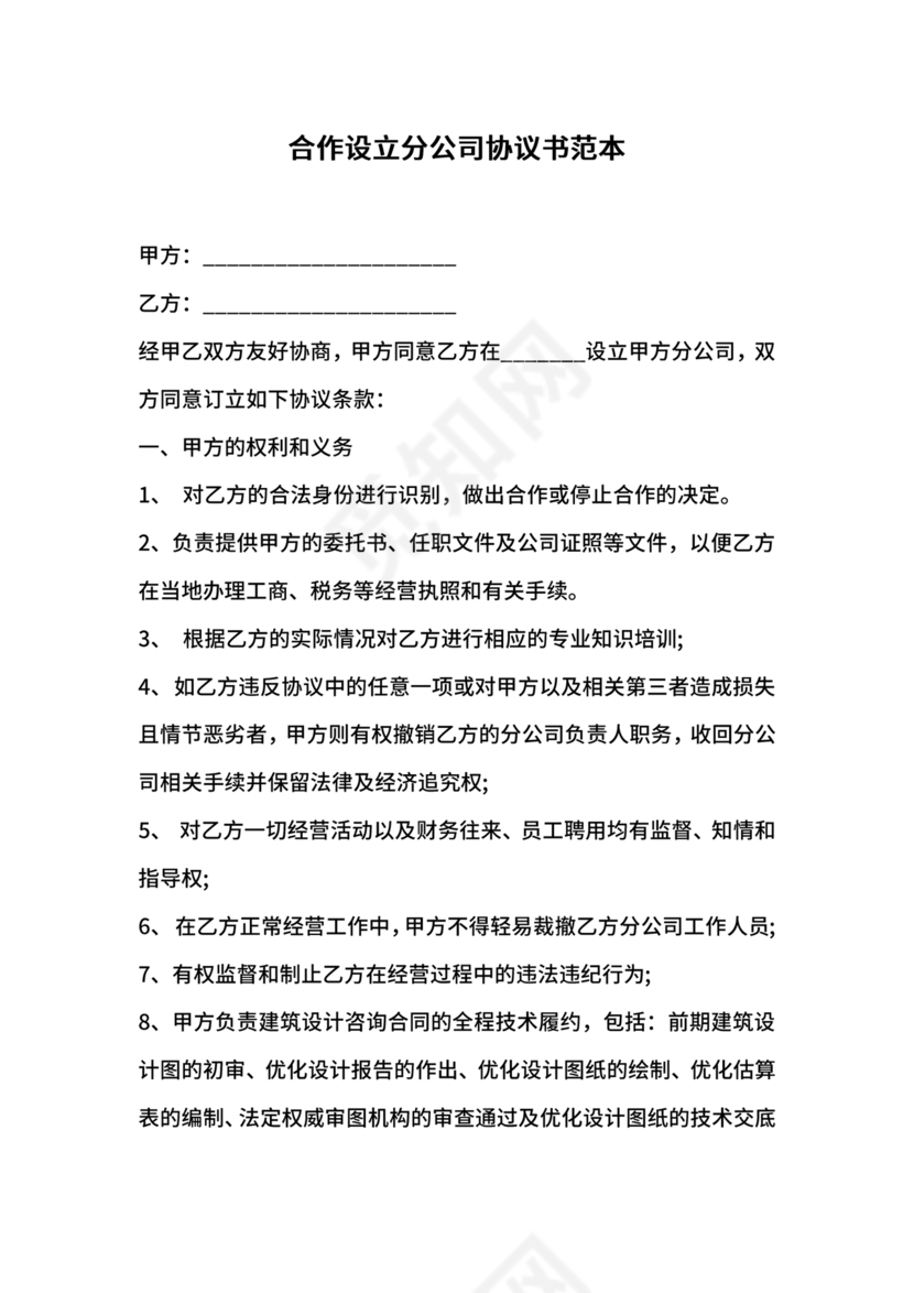 设立分公司合作协议书