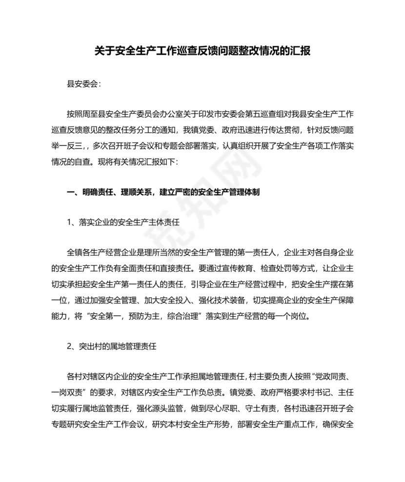 安全生产巡察整改报告