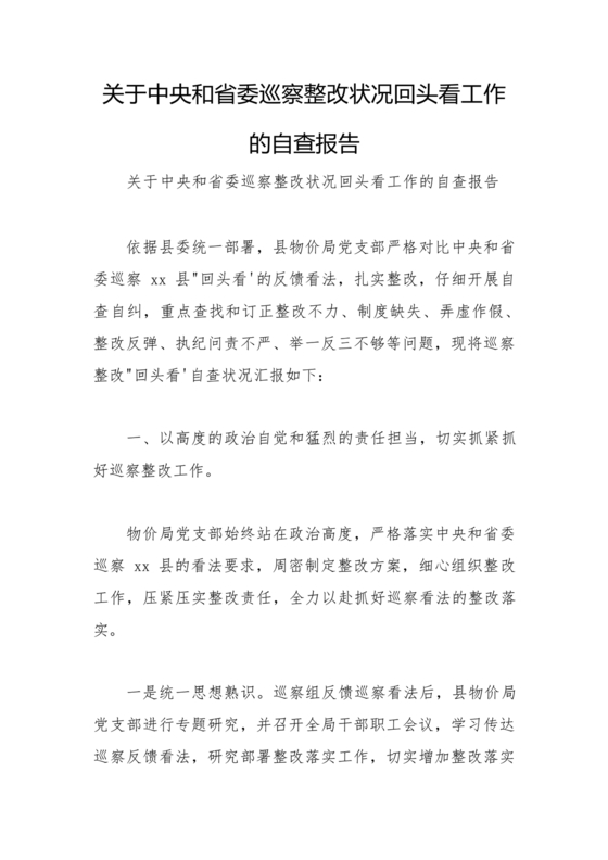 中央巡视整改报告