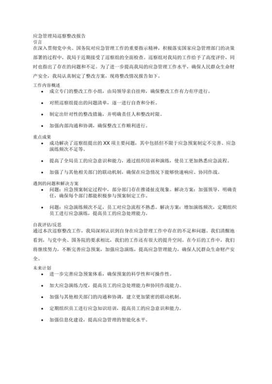 应急管理局巡察整改报告