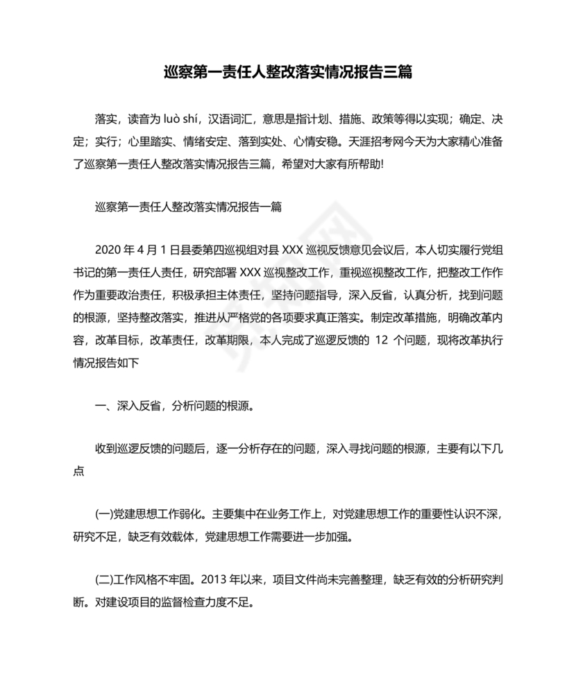 巡察整改第一责任人落实情况报告