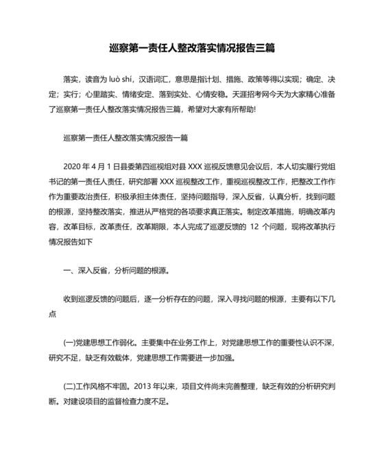 巡察整改第一责任人落实情况报告