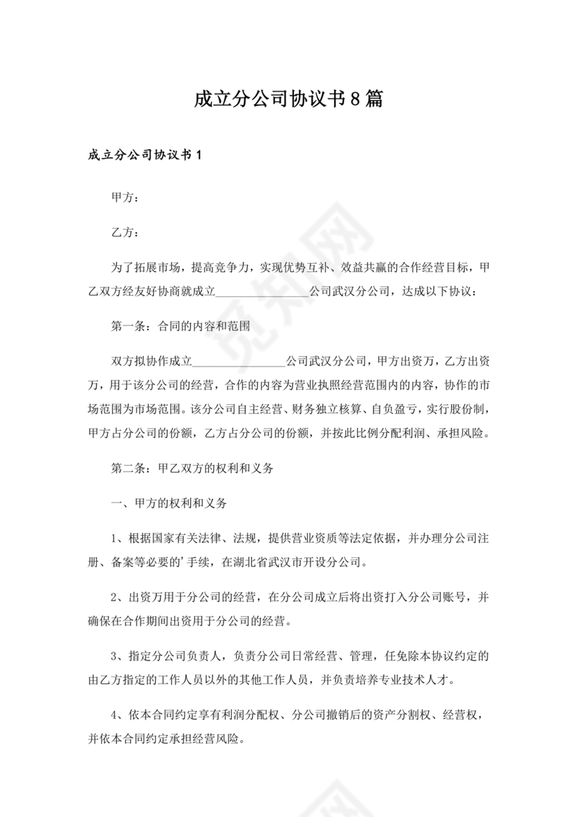 设立分公司合作协议书