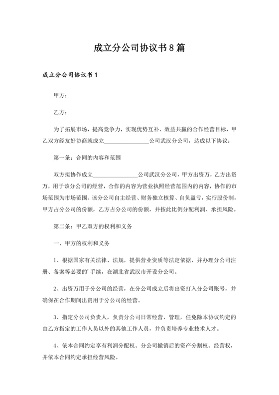 设立分公司合作协议书