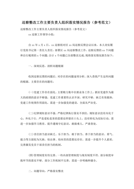 巡察整改第一责任人落实情况报告