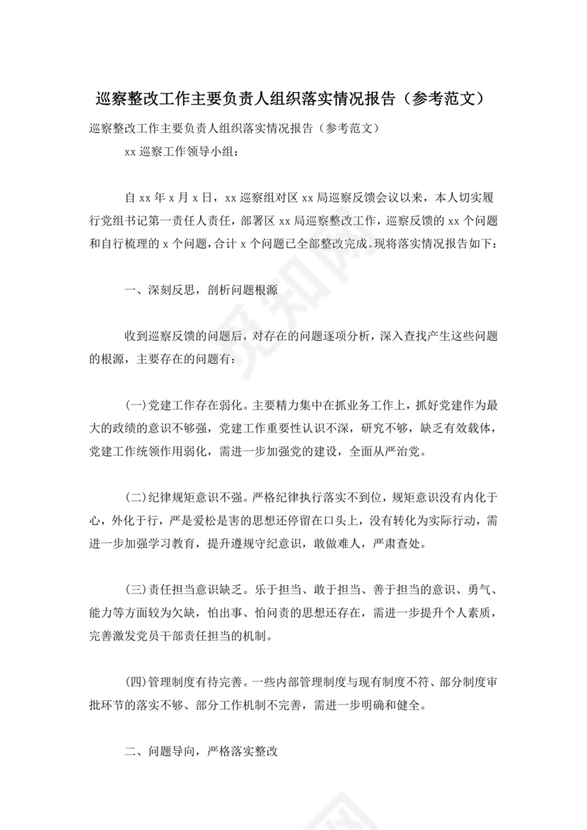 巡察整改第一责任人落实情况报告