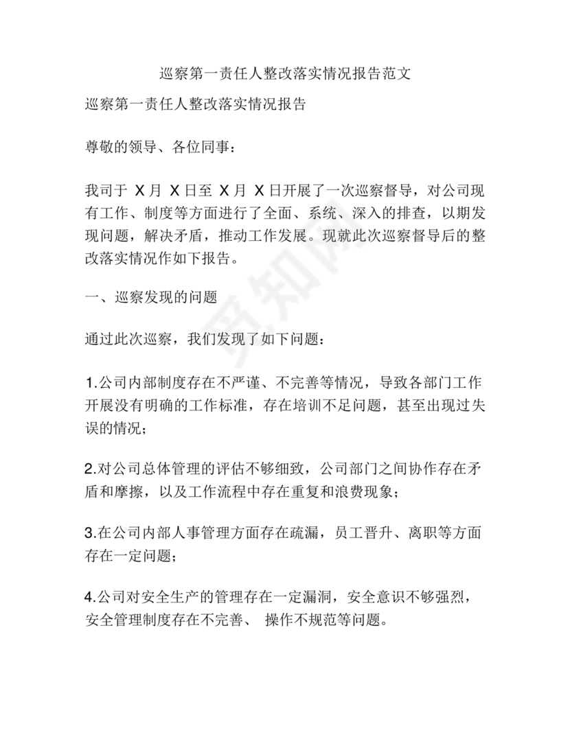 巡察整改第一责任人落实情况报告