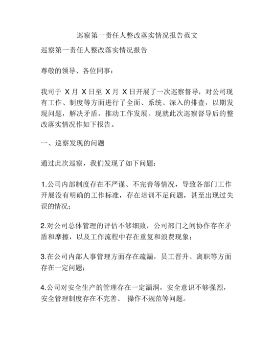 巡察整改第一责任人落实情况报告