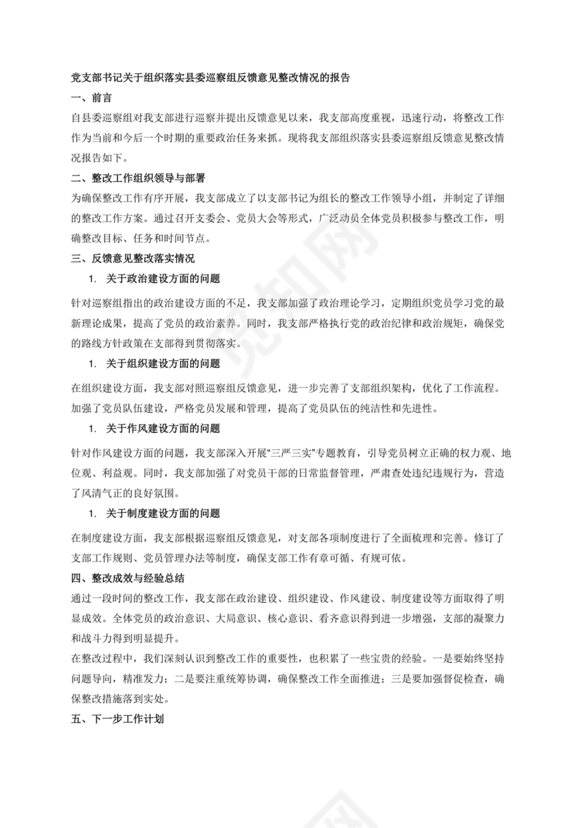 支部书记巡察整改报告