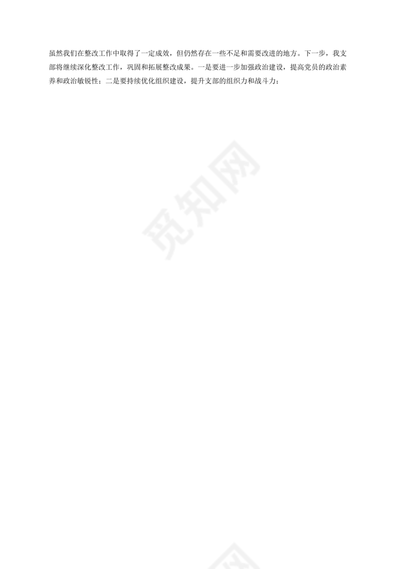 支部书记巡察整改报告