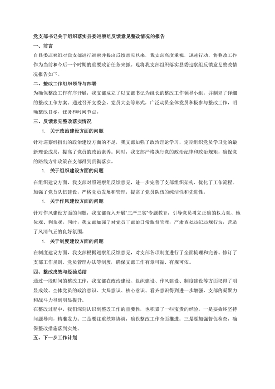 支部书记巡察整改报告