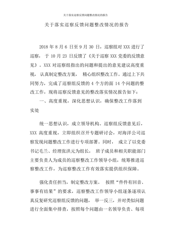 巡察问题整改情况报告