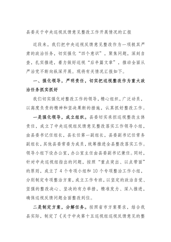 中央巡视整改报告