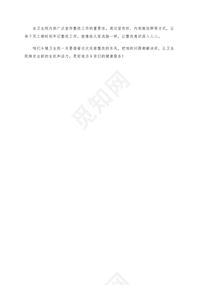 乡镇巡察整改方案