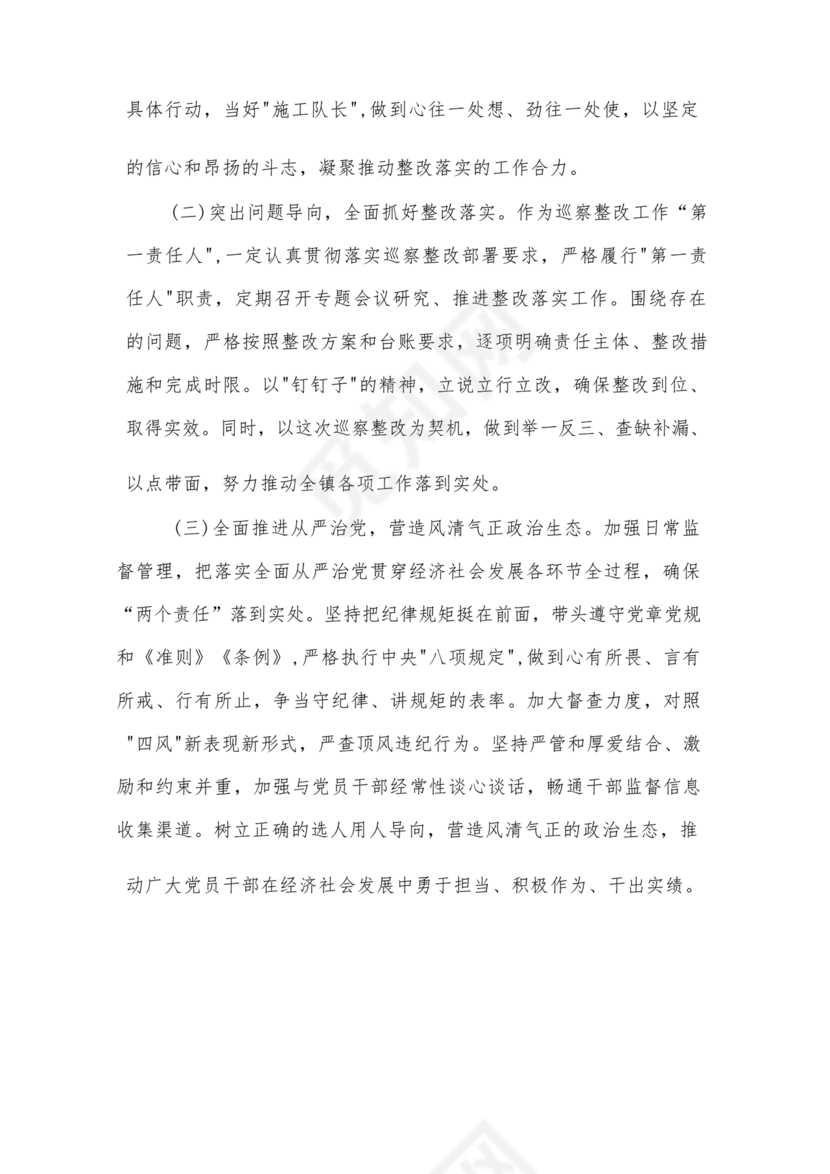 巡察整改自评报告