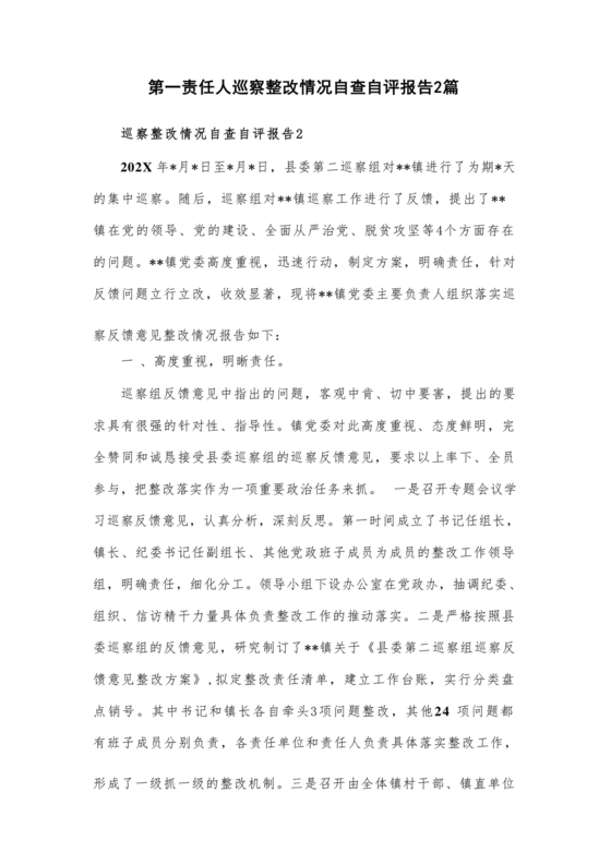 巡察整改自评报告